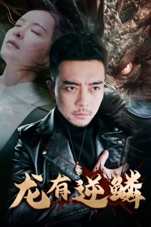 【龙有逆鳞】81集短剧在线免费全集观