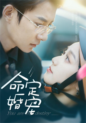 【命定婚宠】61集短剧完整版免费观看