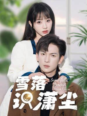 【雪落识潇尘】80集高清短剧全集免费观