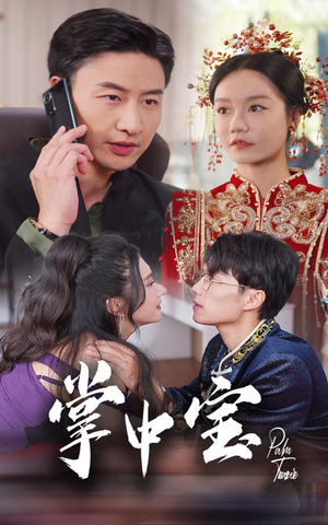 【掌中宝】31集免费短剧在线全集播放