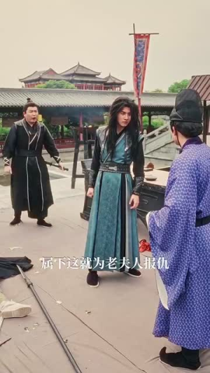 【精忠报国】41集免费短剧全集线上观赏