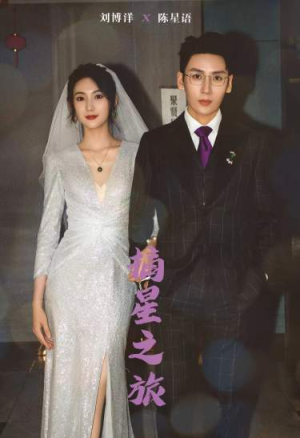 【摘星之旅】88集夸克网盘短剧在线直看