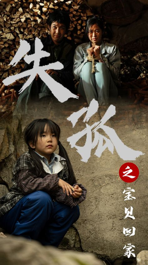 【失孤之宝贝回家】71集在线短剧免费赏看