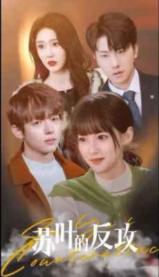 【苏叶的反攻】97集免费短剧全集观看