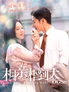 【相亲相到大boss】101集短剧免费全集览看