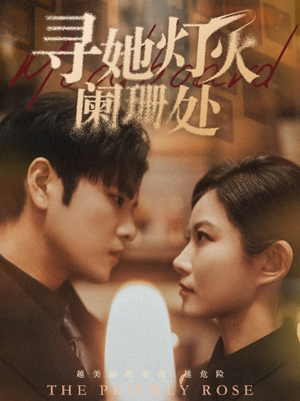 【寻她灯火阑珊处】61集短剧资源免费看全集