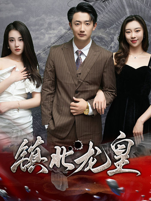 【镇北龙皇】97集短剧在线高清免费看