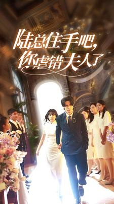 陆总住手吧,你虐错夫人了(80集) 陆总住手吧,你虐错夫人了(80集)不用花钱看全剧