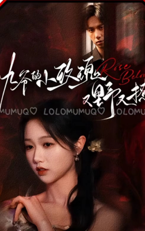 【九爷的小玫瑰又野又撩】100集短剧免费在线瞧看