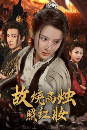 【故烧高烛照红妆】62集短剧免费全集即点即看