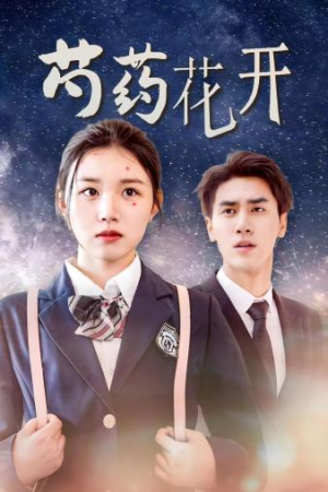 【芍药花开】77集短剧在线免费全集看遍