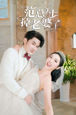 【范总天上掉老婆了】78集免费短剧全集线上观