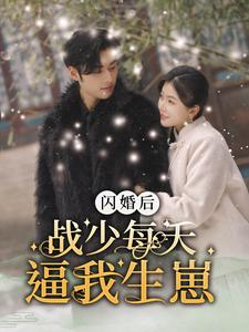 【闪婚后战少每天逼我生崽】91集免费短剧全集直看