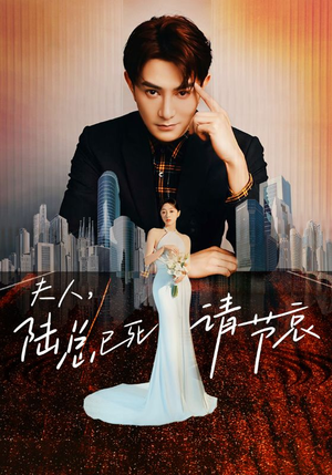 【夫人，陆总已死请节哀】95集短剧在线免费观看