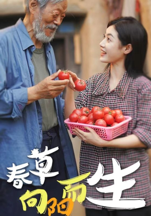 【春草向阳而生】53集短剧免费在线悦看