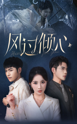 【风过倾心】62集免费在线短剧全集观