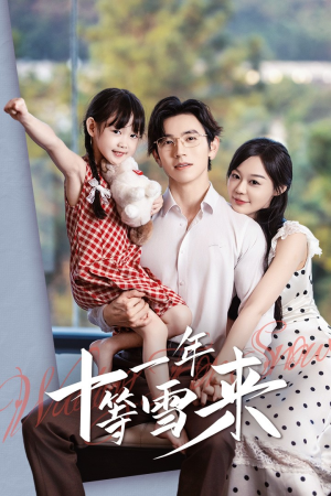 【十一年等雪来】50集短剧在线免费全集播放