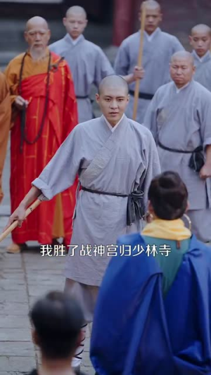 【天下嵩山】29集短剧全集在线免费赏