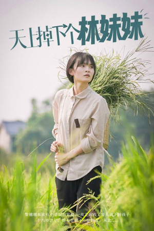 【天上掉下个林妹妹】81集短剧免费全集赏观