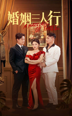 【婚姻三人行】31集短剧在线免费畅快赏
