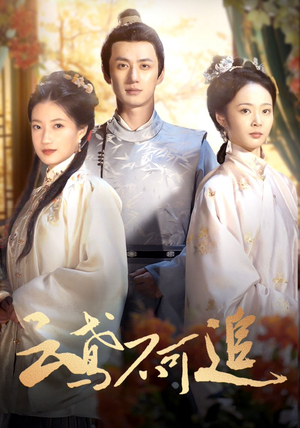 【云鸢不可追】42集短剧在线免费完整看