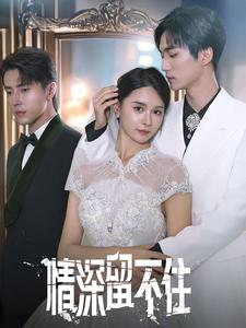 【情深留不住】80集短剧在线免费赏看