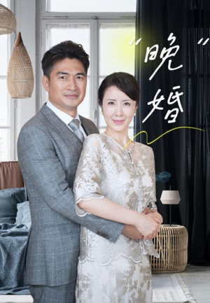 【晚婚】65集高清短剧免费在线看全集