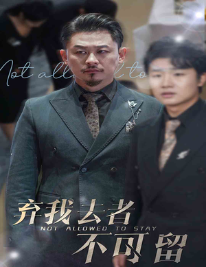 【弃我去者不可留】60集短剧免费在线观瞧