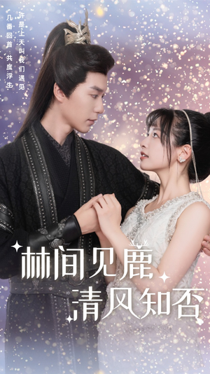 【林间见鹿清风知否】62集免费短剧全集乐看