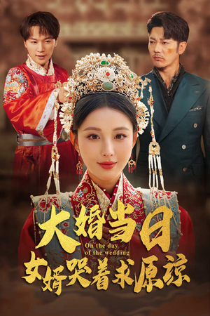 【大婚当日，女婿哭着求原谅】31集免费短剧完整版在线看