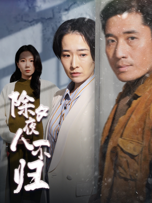 【除夕夜人不归】47集短剧在线免费随意看