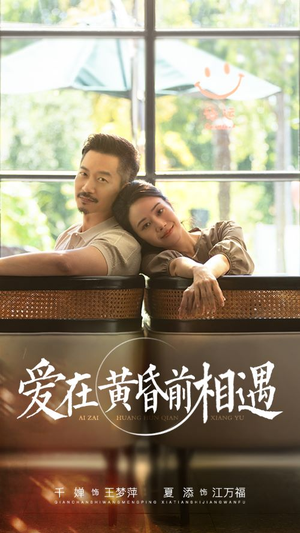 【爱在黄昏前相遇】65集短剧免费在线赏看