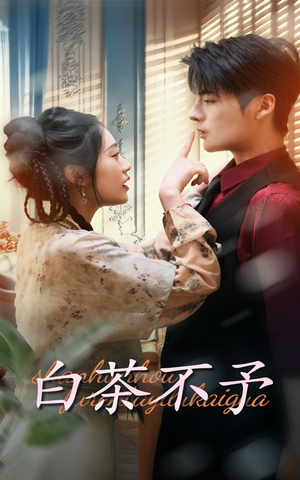 【白茶不予】68集短剧免费在线速看