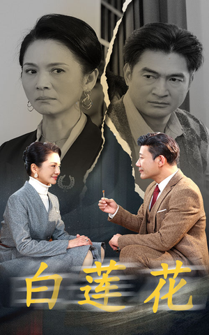 【白莲花】40集短剧全集在线免费欣赏