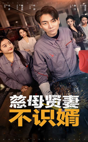 【慈母贤妻不识婿】45集免费短剧随时看