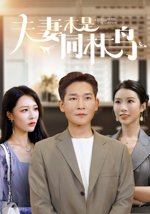 【夫妻本是同林鸟】76集短剧在线免费高清观看