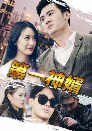 【第一神婿】110集短剧完整版免费播放