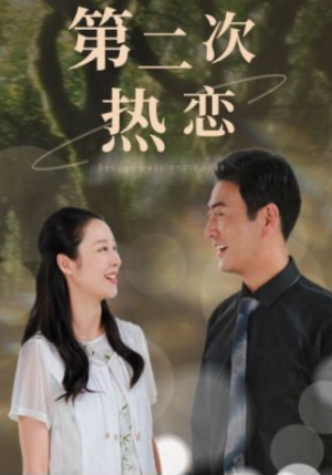【第二次热恋】48集在线短剧全集免费观