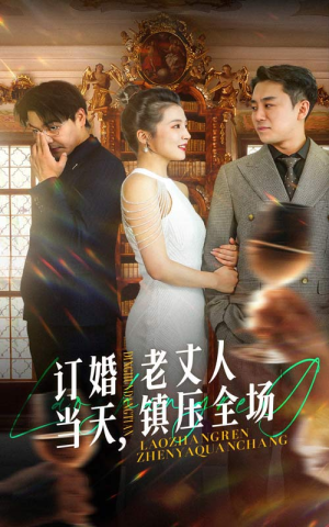 【订婚当天，老丈人镇压全场】29集免费短剧全集畅看