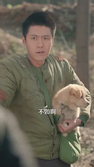 【带着系统勇闯60年代】80集在线看短剧完整版