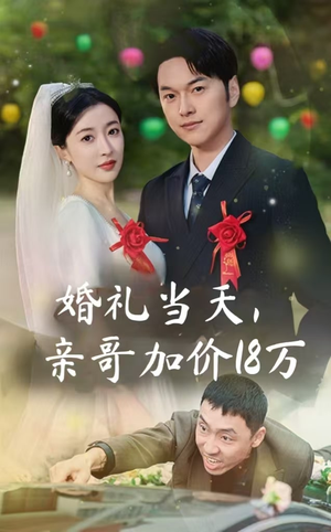 【婚礼当天，亲哥加价18万】36集短剧在线免费畅看