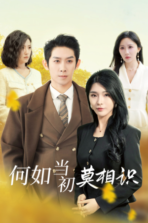 【何如当初莫相识】36集免费短剧在线全览