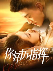 【你好厉指挥】100集短剧免费在线速观看