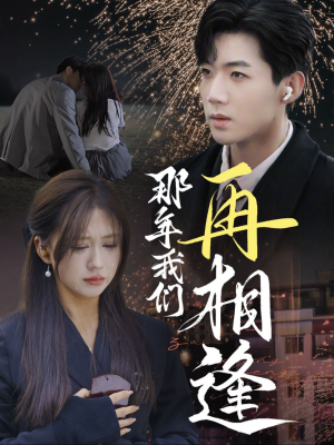 【那年我们再相逢】65集短剧全集免费在线赏