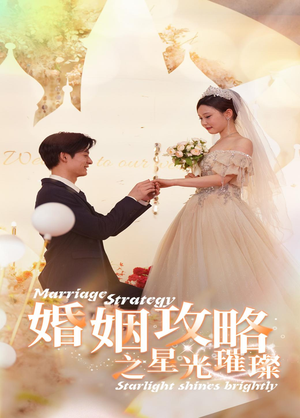 婚姻攻略之星光璀璨（32集）全集完整版