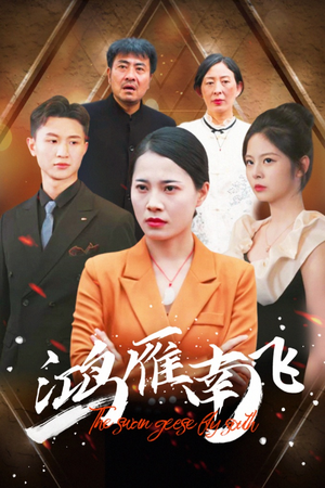 【鸿雁南飞】64集短剧免费在线速看