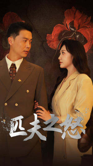 【匹夫之怒】48集在线看短剧全集无删减