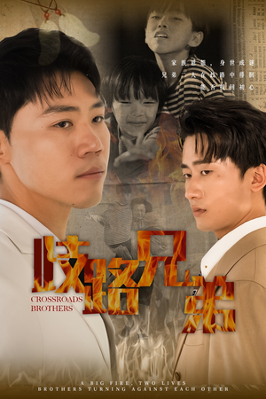 【歧路兄弟】63集免费短剧在线高清观瞧