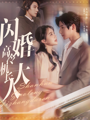 【机长先生，听我指挥】92集免费短剧在线览