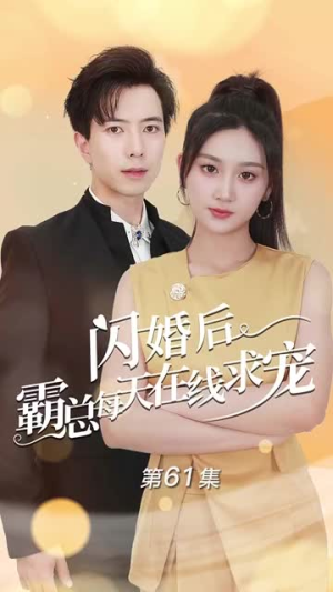 【痴傻老公是霸总】63集短剧在线观看不卡顿